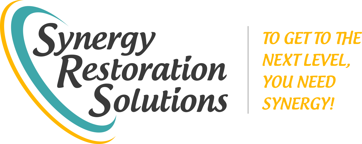 Synergy-Logo